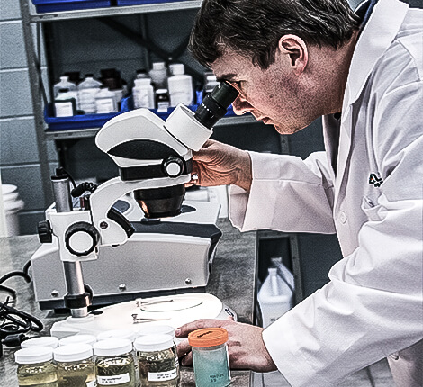 chemist using microscope in lab